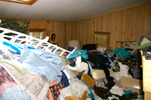 Level 5 clutter intervention; living room.